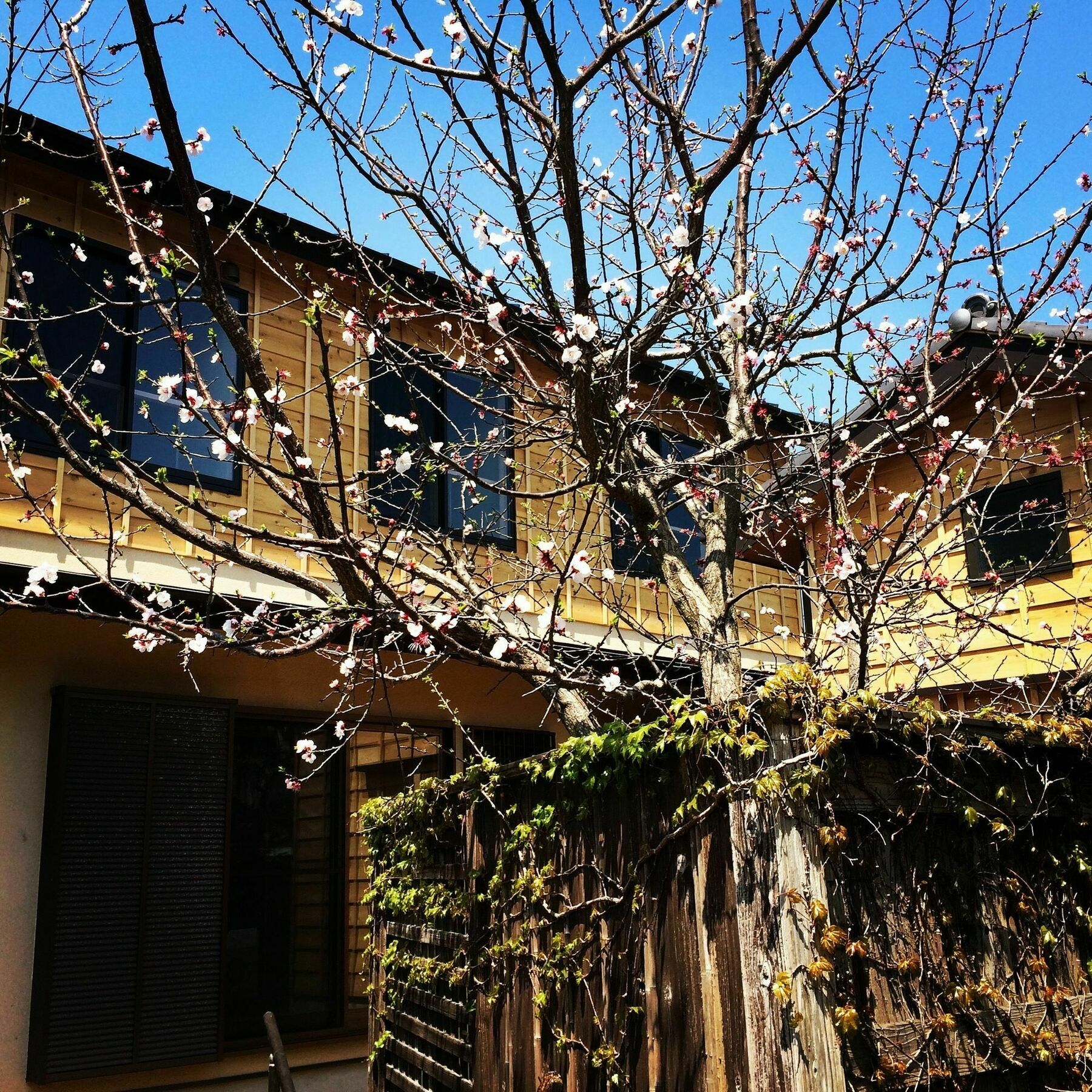 Guest House Kamakura Zen-Ji Exterior photo